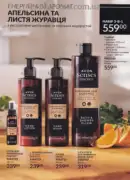 katalog ejvon cherven 6 2025 189
