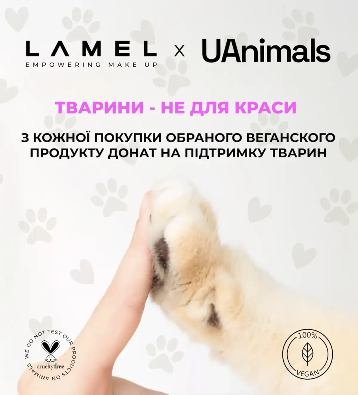 fabkat.vn.ua