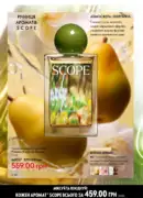 oriflame 12 2025 32