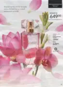 katalog ejvon cherven 2026 23