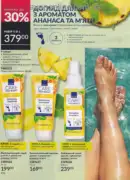 avon 8 2026 ua 156
