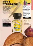oriflejm katalog 12 2026 55