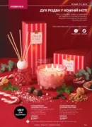 avon 11 2026 storinka 121